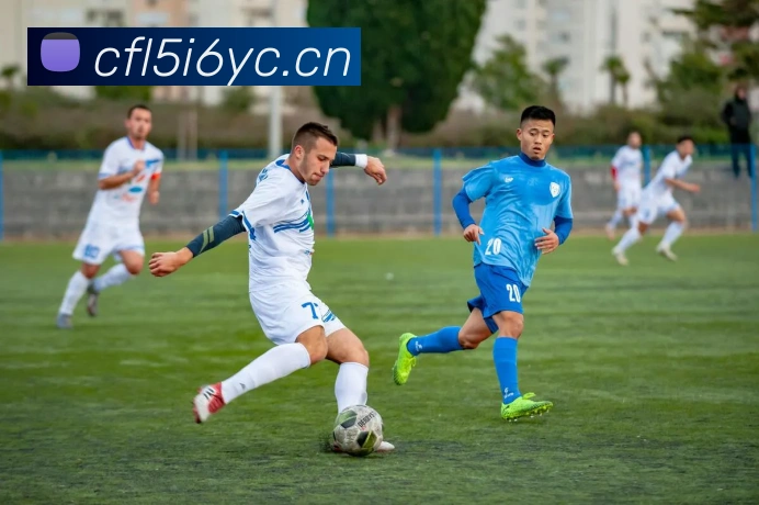 mksport体育官网入口发展历程